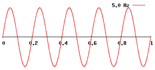 Las ondas cerebrales son un reflejo directo de la función del Sistema Nervioso Central.