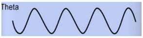 Las ondas cerebrales son un reflejo directo de la función del Sistema Nervioso Central.