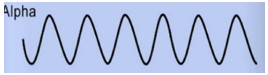 Las ondas cerebrales son un reflejo directo de la función del Sistema Nervioso Central.